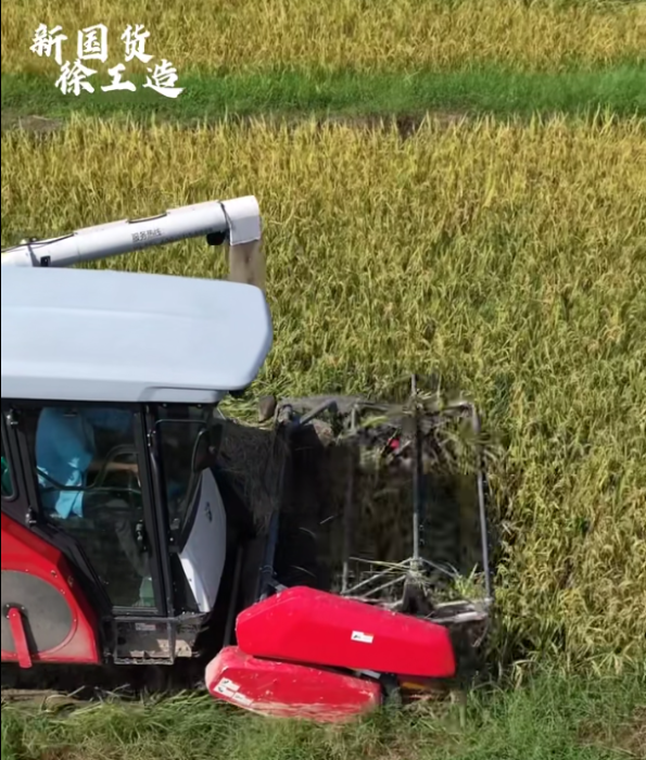 【稻花香里說豐年，聽取蛙聲一片】